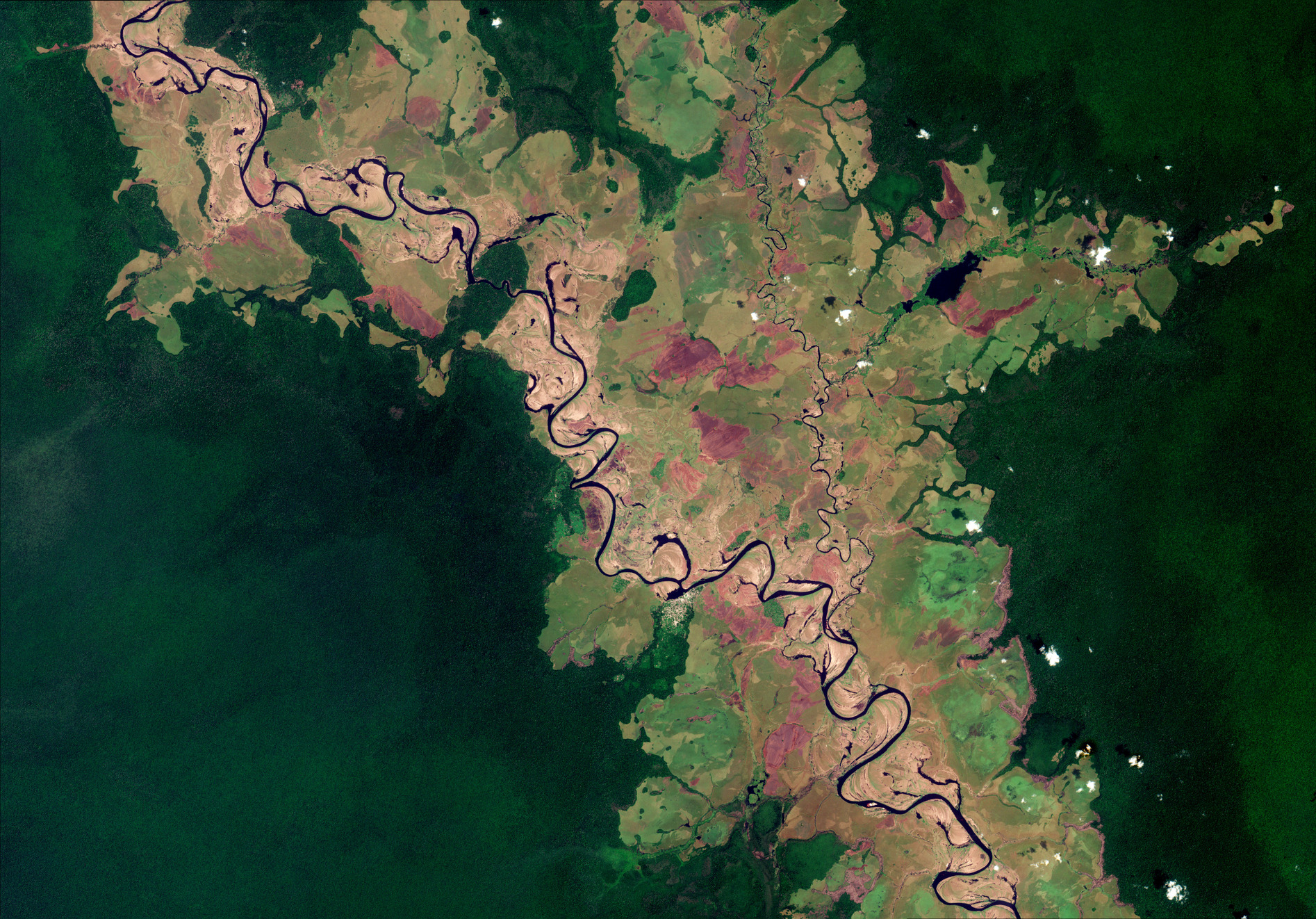 ESA - Immagine della settimana: Fiume Likouala-aux-Herbes, Congo (26 ottobre 2025)